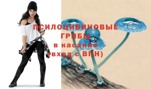 шишки Карпинск