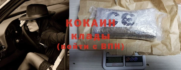 шишки Карпинск