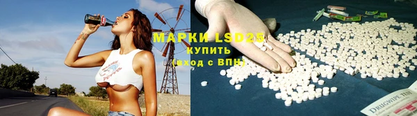 шишки Карпинск