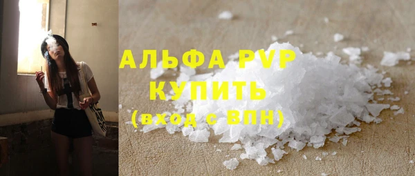 шишки Карпинск