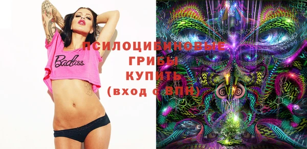 прущие крисы Касимов
