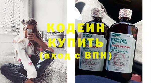 шишки Карпинск