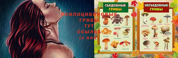 эйфоретик Карталы