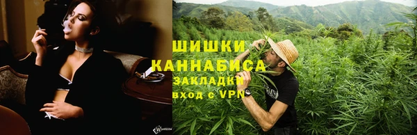 шишки Карпинск