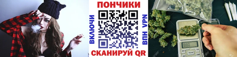 Каннабис конопля  Купить закладки  Гусь-Хрустальный 